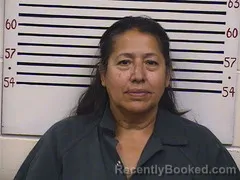 Mugshot of Dolores Mendoza Cerda booked in Pickens County, Alabama on September 9, 2026