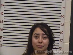 Mugshot of Fatemeh Rezaei booked in Pickens County, Alabama on October 25, 2026