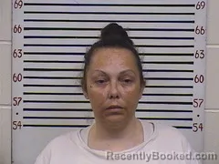 Mugshot of Tashina Shields booked in Pickens County, Alabama on October 27, 2026