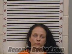 Booking photo from Pickens County, Alabama