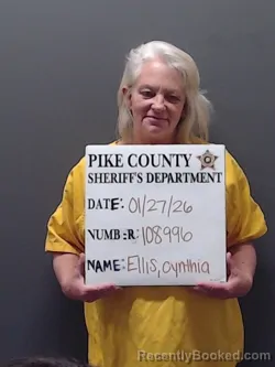 Mugshot of CYNTHIA ELLIS