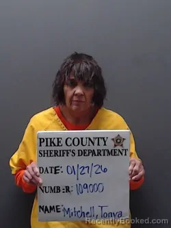 Mugshot of TONYA LITTLE MITCHELL