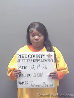 Mugshot of BREONA MARCHELL JOHNSON