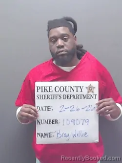 Mugshot of WILLIE AKILI JAMEL BRAY