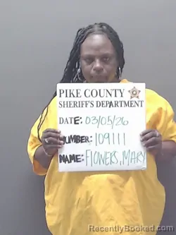 Mugshot of MARY ANN FLOWERS