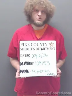Mugshot of JADIE BLAKE PATTERSON