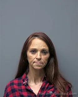 Mugshot of V HEARLSON booked in Russell County, Alabama on March 31, 2026