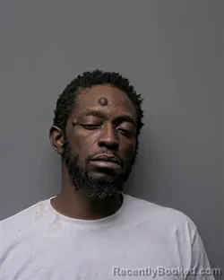 Mugshot of D BROWN booked in Russell County, Alabama on March 29, 2026