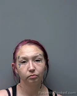 Mugshot of T HOLLAND booked in Russell County, Alabama on May 14, 2026