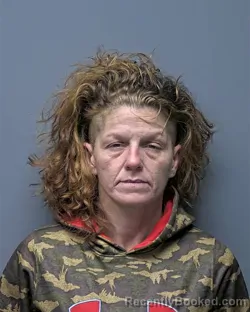 Mugshot of Brandy Rae Newman