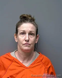 Mugshot of Wendy Michele Strothers