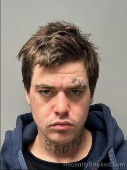 Mugshot of William Henry Turner