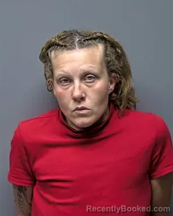 Mugshot of Tiffany Nicole Pippins