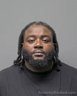 Mugshot of L JOHNSON