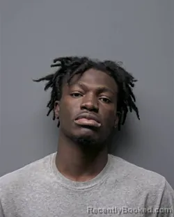 Mugshot of J LEWIS booked in Russell County, Alabama on March 27, 2026