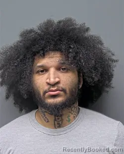 Mugshot of Guisepi Valentino Piccola