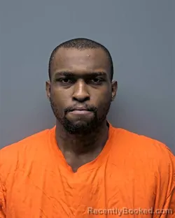 Mugshot of W ILLIAMS WILLIAMS