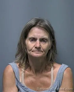 Mugshot of Shannon Alisa Peters