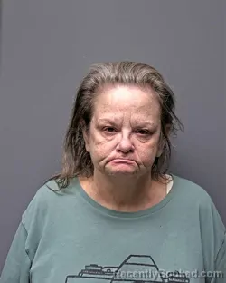 Mugshot of Tammy Lynn Hinson