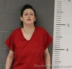 Mugshot of TIFFANY MILLER booked in St Clair County, Alabama on April 25, 2026