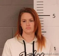 Mugshot of ALISHA LOWERY