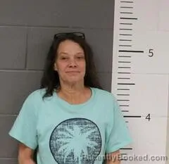 Mugshot of KELLI KEEL booked in St Clair County, Alabama on July 14, 2026