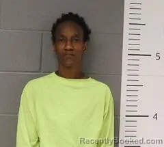 Mugshot of SHONDRIA MANN booked in St Clair County, Alabama on March 25, 2026