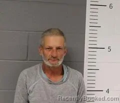 Mugshot of WAYNE GRAY