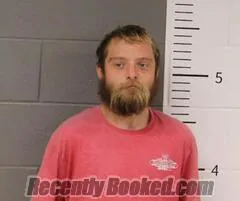 Booking photo from St Clair County, Alabama