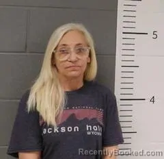 Mugshot of CONNIE TOWNLEY