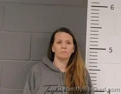 Mugshot of BRITTANY HOOKS