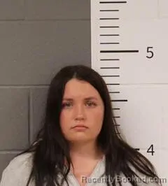 Mugshot of ABBIGAIL DAVIS