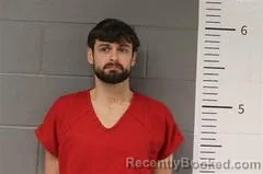 Mugshot of JONATHAN WEBBER