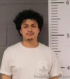 Booking photo from St Clair County, Alabama