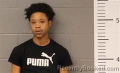 Booking photo from St Clair County, Alabama