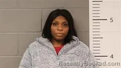 Mugshot of BRITTANY ELLIS