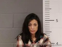 Booking photo from St Clair County, Alabama