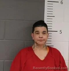 Mugshot of DANA BINDER