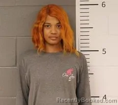 Mugshot of DADRIAN WILSON-SIPES booked in St Clair County, Alabama on March 28, 2026