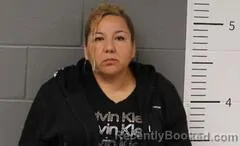 Mugshot of ROSA HERRERA VILLA booked in St Clair County, Alabama on March 30, 2026