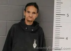 Mugshot of TAMMY MITCHELL PEOPLES booked in St Clair County, Alabama on May 2, 2026