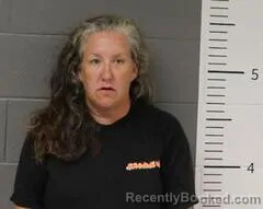 Mugshot of DONNA ARCENEAUX booked in St Clair County, Alabama on June 11, 2026