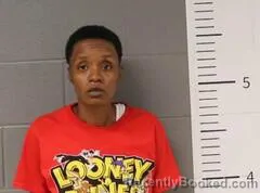 Mugshot of Debreccia Houser booked in St Clair County, Alabama on September 3, 2026