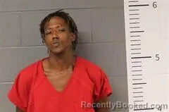 Mugshot of Zachary Stephens booked in St Clair County, Alabama on September 12, 2026