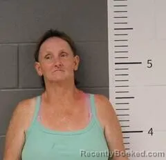 Mugshot of MALISA PIERCE booked in St Clair County, Alabama on June 30, 2026