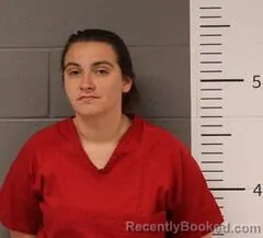 Booking photo from St Clair County, Alabama
