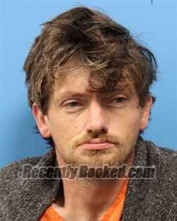 Booking photo from Shelby County, Alabama