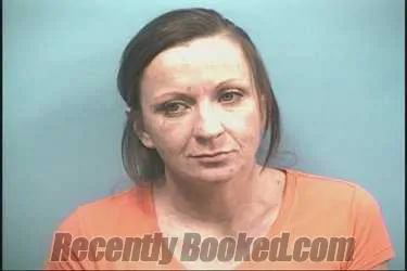Booking photo from Shelby County, Alabama