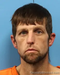 Booking photo from Shelby County, Alabama