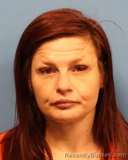 Mugshot of AMANDA JOANN AKINS